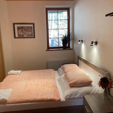 Telnice - Medorhof Apartament
